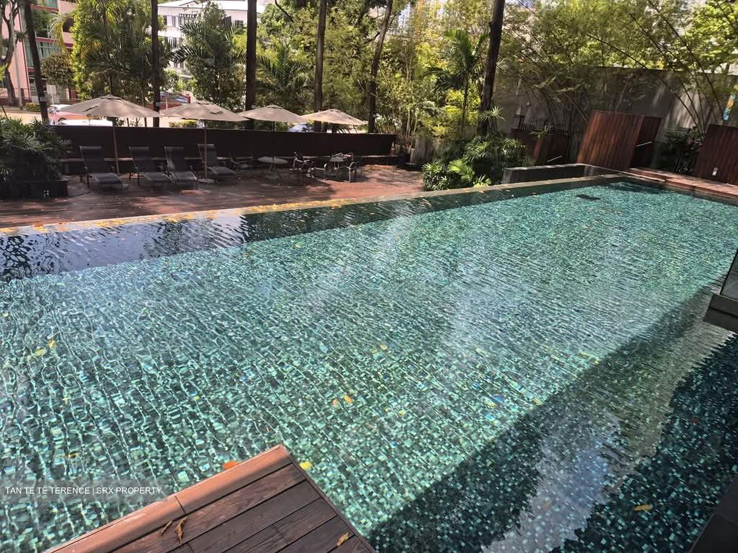 1 Moulmein Rise (D11), Apartment #538067381